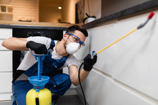 Best Exterminator Services  in Meadow Woods, FL