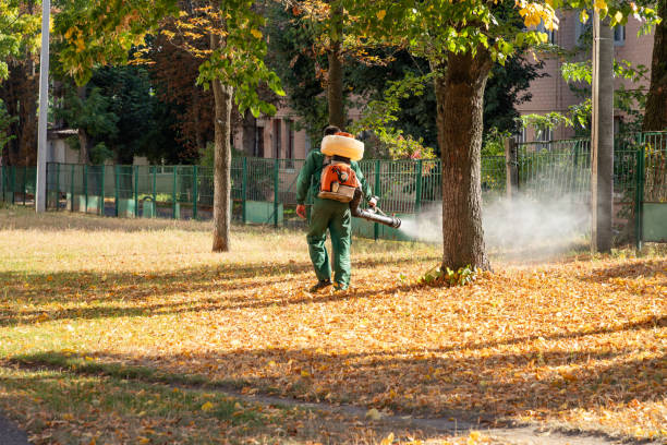 Best Spider Control Near Me  in Meadow Woods, FL