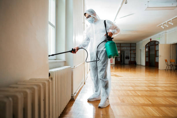 Best Wasp Removal Services  in Meadow Woods, FL