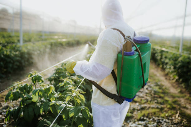 Best Pest Control Treatment  in Meadow Woods, FL